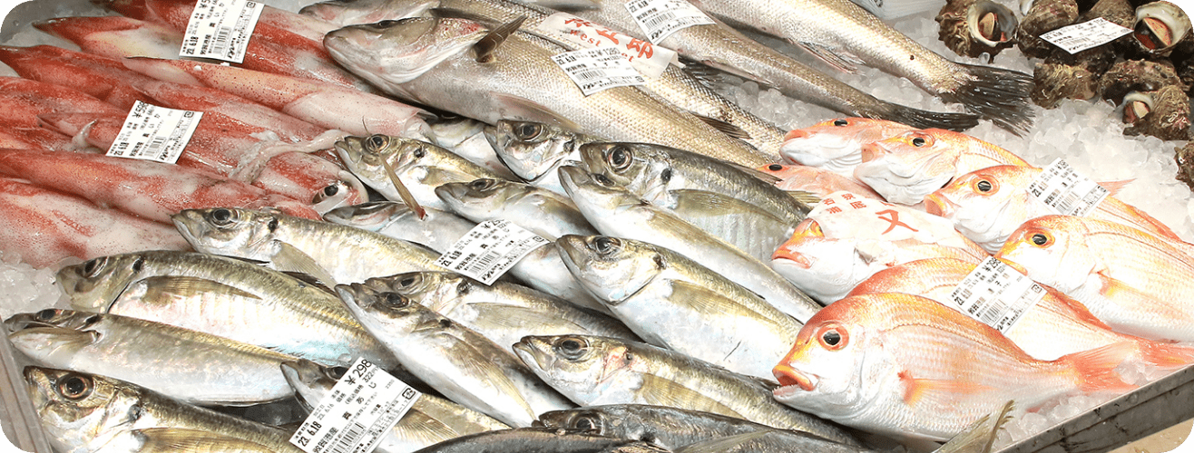 こだわり 敦賀港の新鮮な魚介類